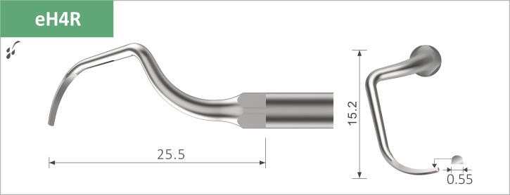 Xpedent Premolar Molar, eH4R, Ultraschallspitze, EMS-kompatibel, 1 Stück